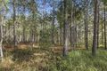 Property photo of 222 Learoyd Road Willawong QLD 4110