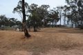 Property photo of 156 Timor Road Bowenvale VIC 3465