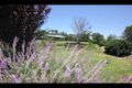 Property photo of 46 Oakhole Road Goondiwindi QLD 4390