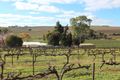 Property photo of LOT 46 Blocks Road Leasingham SA 5452