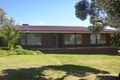 Property photo of 432 Dale Crescent Lavington NSW 2641