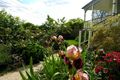 Property photo of 13 Warriga Street Katoomba NSW 2780