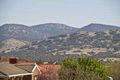 Property photo of 21 Michael Holt Crescent Gordon ACT 2906
