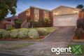 Property photo of 12 Waintree Court Endeavour Hills VIC 3802