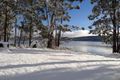Property photo of 213 Bradys Lake Road Bradys Lake TAS 7140