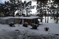 Property photo of 213 Bradys Lake Road Bradys Lake TAS 7140
