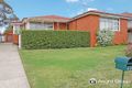 Property photo of 44 Pine Street Rydalmere NSW 2116