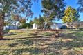 Property photo of 7 Wattle Street Red Cliffs VIC 3496