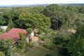Property photo of 317-327 Diddillibah Road Diddillibah QLD 4559