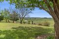Property photo of 1194 Pomeroy Road Pomeroy NSW 2580