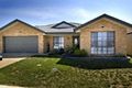 Property photo of 13 Newstead Street Amaroo ACT 2914