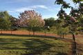 Property photo of 11 Nickajack Place Kangaroo Gully WA 6255