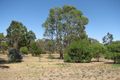 Property photo of 38 Gunning Road Naracoorte SA 5271