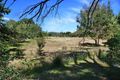 Property photo of 10 Archer Street Beaconsfield TAS 7270