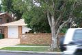 Property photo of 85 Crombie Avenue Bundall QLD 4217
