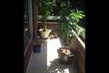 Property photo of 2/34 Sturdee Parade Dee Why NSW 2099