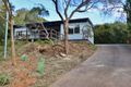 Property photo of 16 Booroo Street Pambula Beach NSW 2549