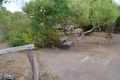 Property photo of 16 White Street Wandering WA 6308