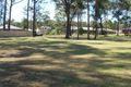 Property photo of 31 South Street Medowie NSW 2318