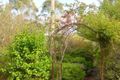 Property photo of 127 Hassell Street Mount Barker WA 6324