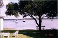 Property photo of 5 The Callister Lakelands NSW 2282