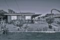 Property photo of 19 Dome Court Springvale South VIC 3172