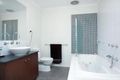 Property photo of 10 Kynoch Lane Maribyrnong VIC 3032