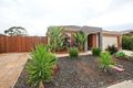Property photo of 21 Citronelle Circuit Brookfield VIC 3338