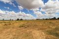 Property photo of 52 Gum Tree Lane Hay NSW 2711