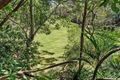 Property photo of 8/105A Woodland Street Balgowlah NSW 2093
