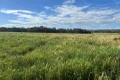 Property photo of 42 Orchard Road Burekup WA 6227