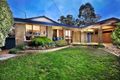 Property photo of 24 York Street Glen Waverley VIC 3150