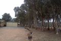 Property photo of 734 Ford Road Pinery SA 5460