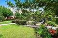 Property photo of 65/20 Close Street Canterbury NSW 2193