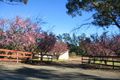 Property photo of 24 Carters Road Dural NSW 2158