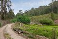 Property photo of 80 Van Ess Road Trida VIC 3953