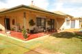 Property photo of 46 Pigeon Flat Road Bordertown SA 5268