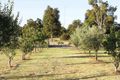 Property photo of 10 Sing Gardens Walliston WA 6076