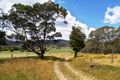 Property photo of 24 Tanners Road Wollomombi NSW 2350