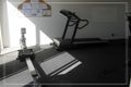 Property photo of 43/1 Belongil Street Pacific Pines QLD 4211