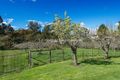 Property photo of 175 Johnstons Road Hillwood TAS 7252