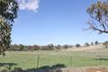 Property photo of 91 Tathra Drive Junee NSW 2663