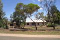 Property photo of 395 Hunt Road Loveday SA 5345