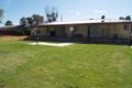 Property photo of 42 Curtis Road Waikerie SA 5330