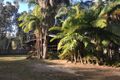 Property photo of 10 Little River Close Wooli NSW 2462