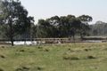 Property photo of Patons Road Axe Creek VIC 3551