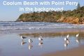 Property photo of 14 Jubilee Esplanade Point Arkwright QLD 4573
