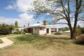 Property photo of 149 Cowper Street Tenterfield NSW 2372