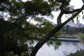 Property photo of 12/11 Wylde Street Potts Point NSW 2011