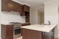 Property photo of 12 Turquoise Crescent Springfield QLD 4300
